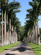 ����������� ������������ ��� ���������