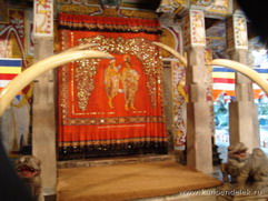 � ����� ���������� ���� �����