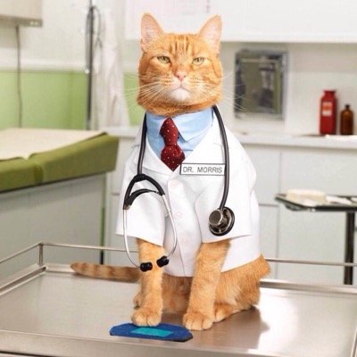 ����� ������ ��� �������� �������� �����