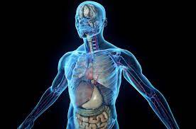 ���� ��������