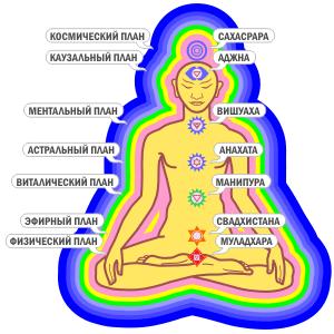 ���� ��������. ����� 