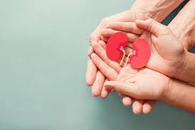 ����� ����� ���������� �������� �����������