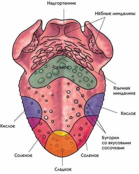 �������� �����