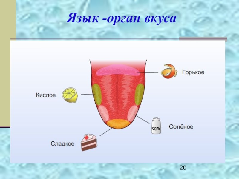 ������������. ������ �����... ������