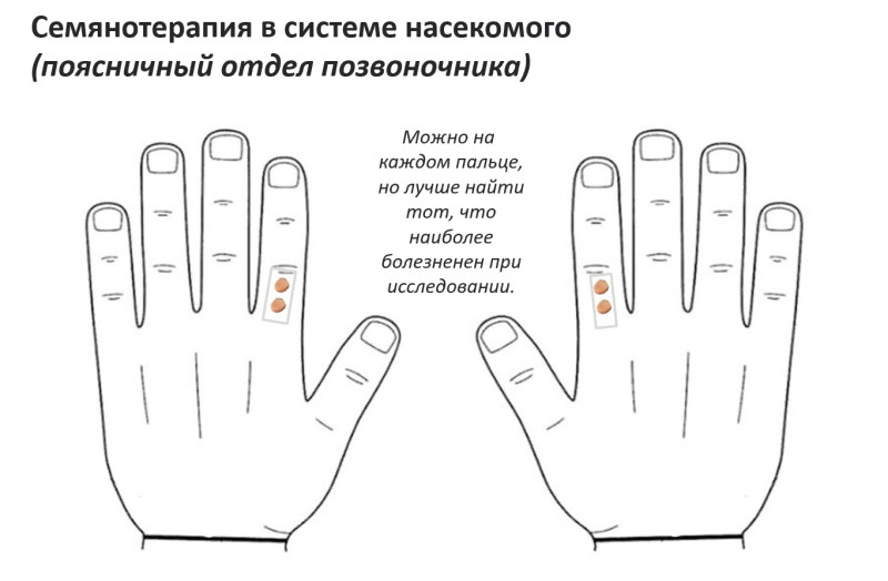 Простой метод от боли в поясничном отделе позвоночника Простой метод от боли в поясничном отделе позвоночника