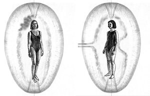 ������� ������� �� ������