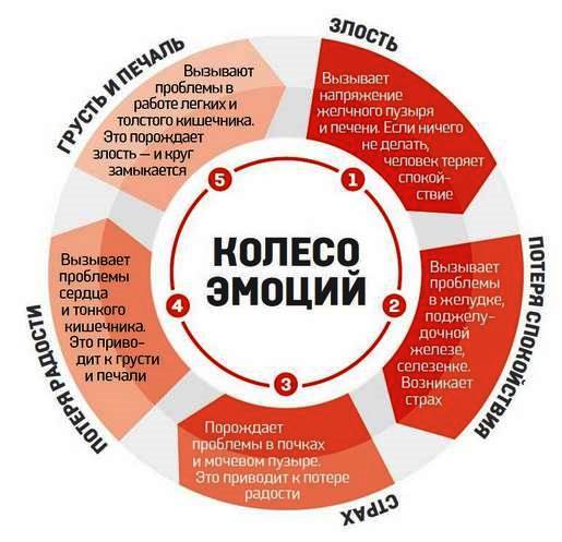 ������ ������