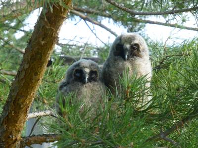 �������� � ������������� ��������