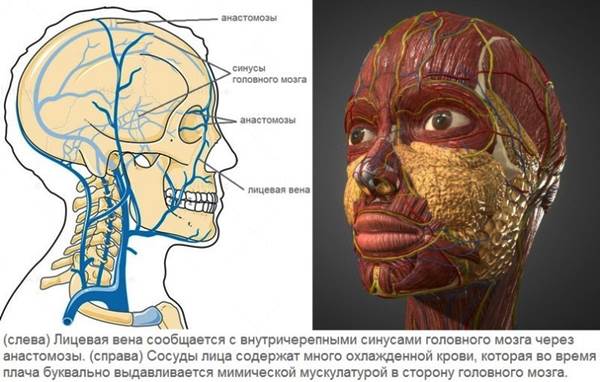 ������������ ��� ������ ����� �� ���������