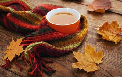 Autumn: proper nutrition and disease syndromes in the autumn season