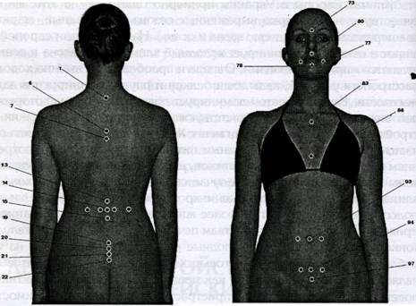 ��������� ���� ����� 