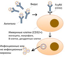 ����������������� �������� ��������