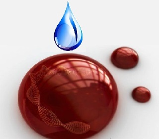 �������� ����� ��� �������� ����� ���������� �������߻