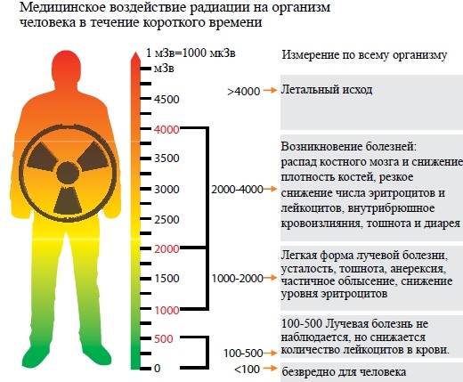 ������������ ���������� � ����������� �������� � ���������