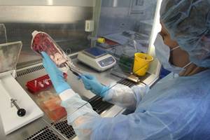 ������ �� ����� ���������