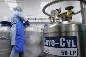 ������ �� ����� ���������