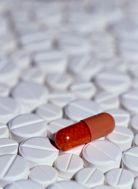 ����������������� ���������