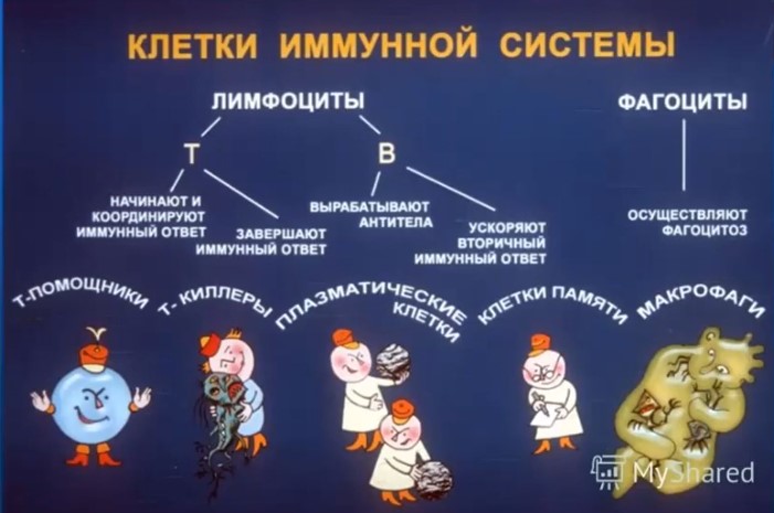 ��� ������� ���������