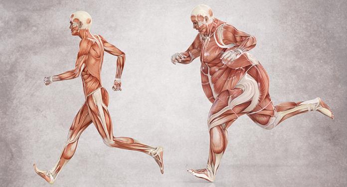 ������ �������: ���, ��� ���������� �����