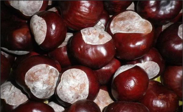 �������� �������� ������� �� �����