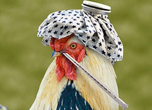 ������ ��������� ������ �����?